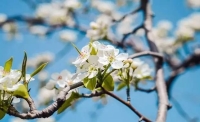 一起讀報(bào)-4月27日