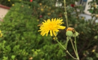 一起讀報-10月1日