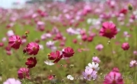 一起讀報-10月2日
