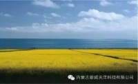 一起讀報-10月4日