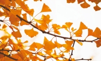 一起讀報-10月28日