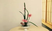 一起讀報-12月4日