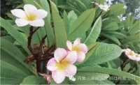 一起讀報-6月14日
