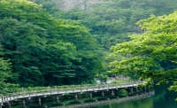 一起讀報(bào)-6月17日