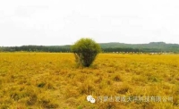 一起讀報-6月21日