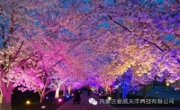 一起讀報-12月29日